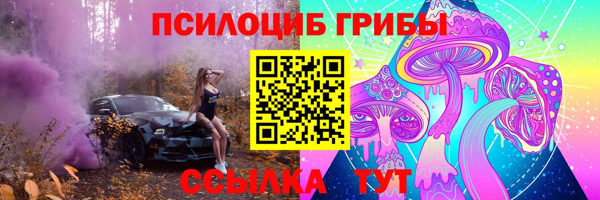 Галлюциногенные грибы MAGIC MUSHROOMS  Вход с VPN  дарнет шоп  Ахтубинск 
