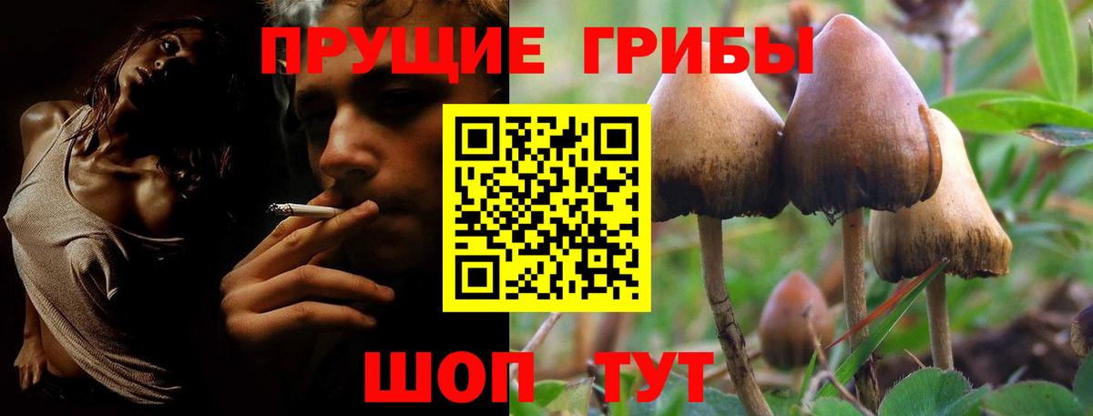 Галлюциногенные грибы мухоморы Ахтубинск